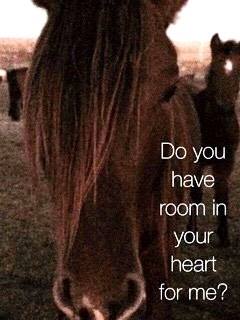 Do You Have Room in Your Heart