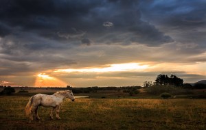 StormSignal/Flickr/CC