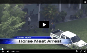 Click Image to View Video