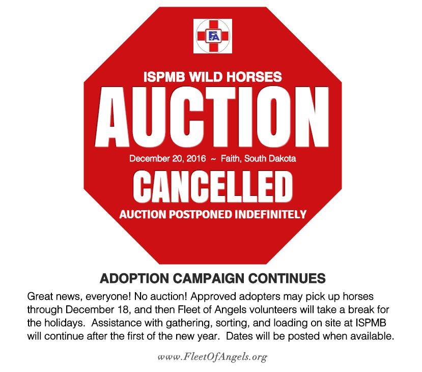 15390821_10212255423047324_8756691103646102791_n