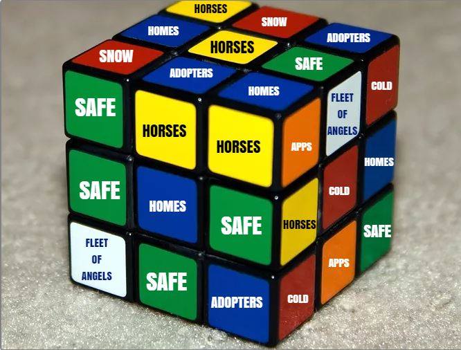 15589579_10212294432822544_6671813647823156087_n