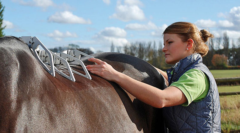 Read more: http://www.horsetalk.co.nz/2016/12/27/new-saddle-christmas-free-fitting-guide/#ixzz4U02mu9N4 Reuse: Interested in sharing with your readers? You are welcome to use three or four paragraphs, with a link back to the article on Horsetalk. Follow us: @HorsetalkNZ on Twitter | Horsetalk on Facebook Measuring the 3-dimensional shape of the horse’s back with the Arc Device™.