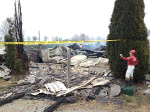 mercury-equine-center