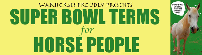 warhorses_superbowl_header