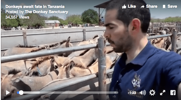 Click Image to View Video